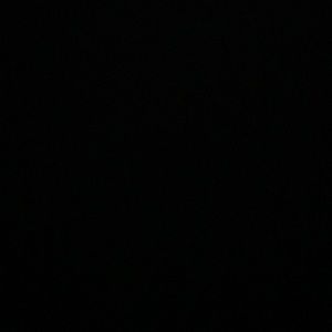 Meet your Posher, Rogelio